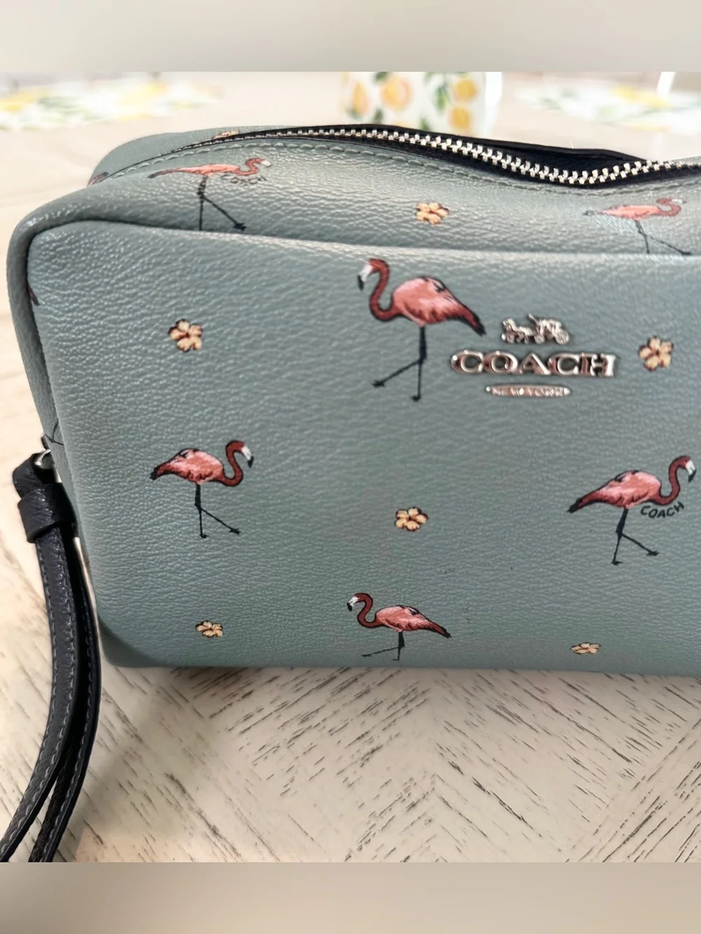 Coach Boxy Cosmetic Case 20 Flamingo Print Aquamarine F29374